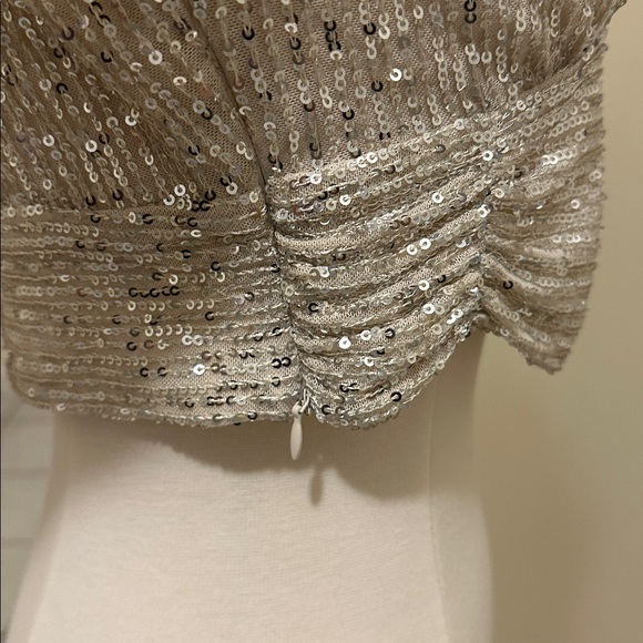 Forever 21 - sequin crop top - Picture 10 of 10